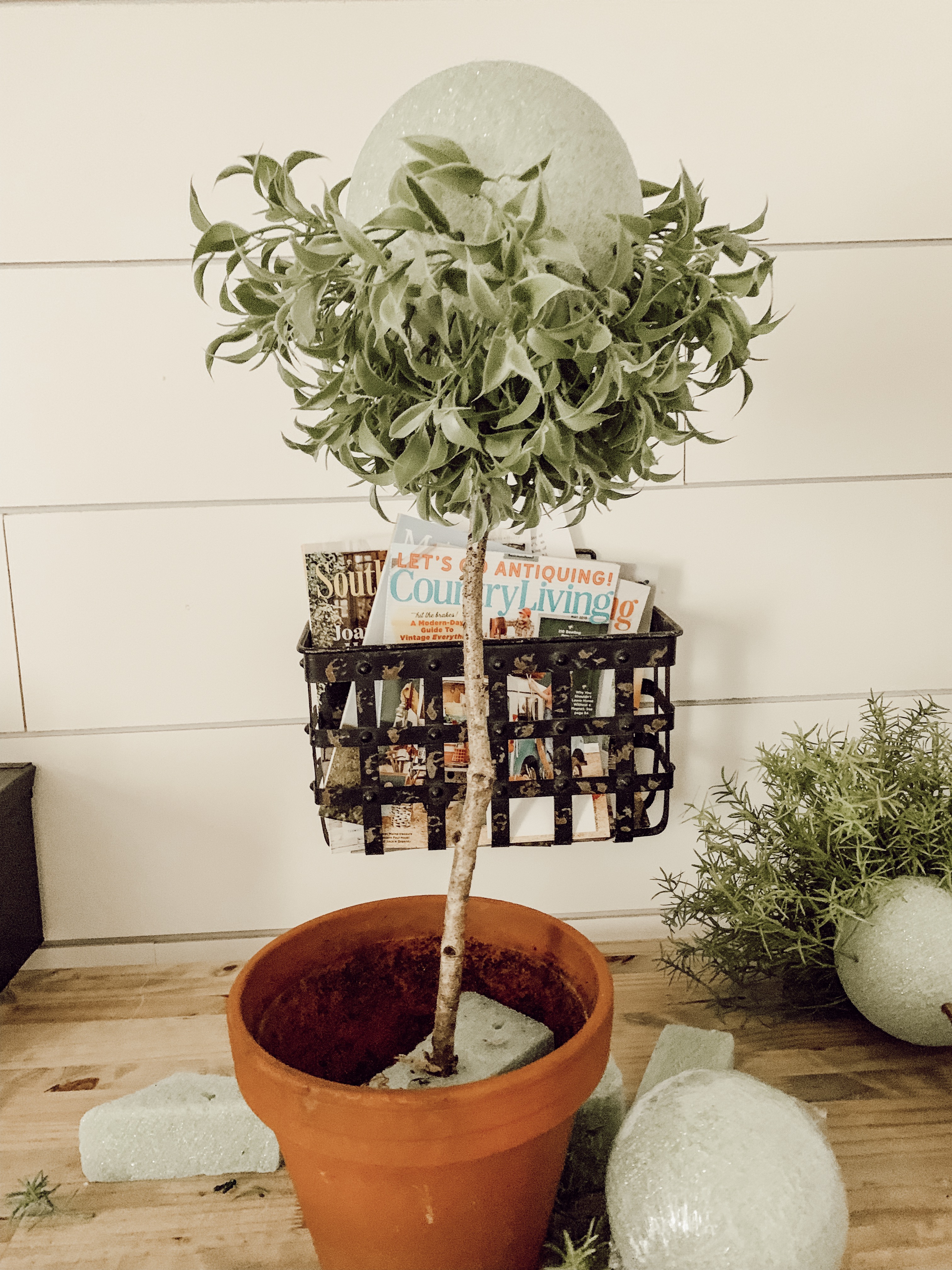 DIY Topiary - Itty Bitty Farmhouse