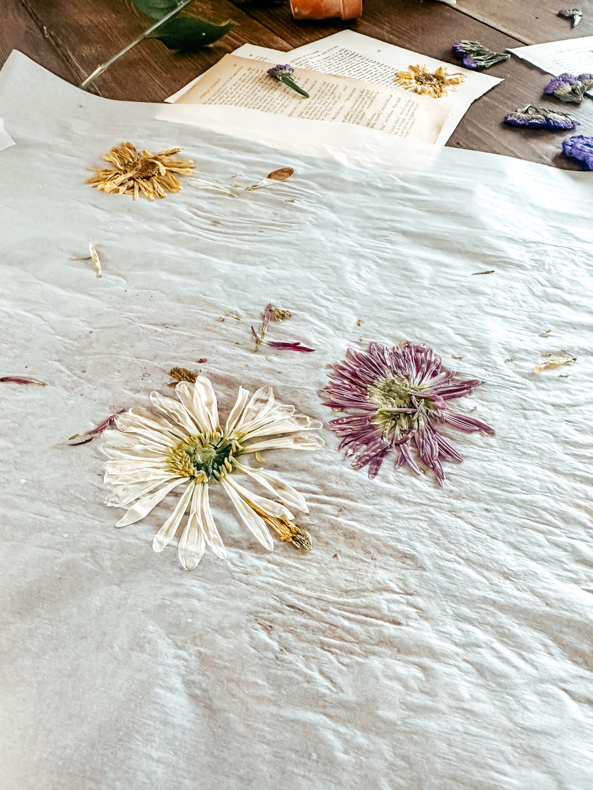 Vintage Pressed floral for Decor DIY